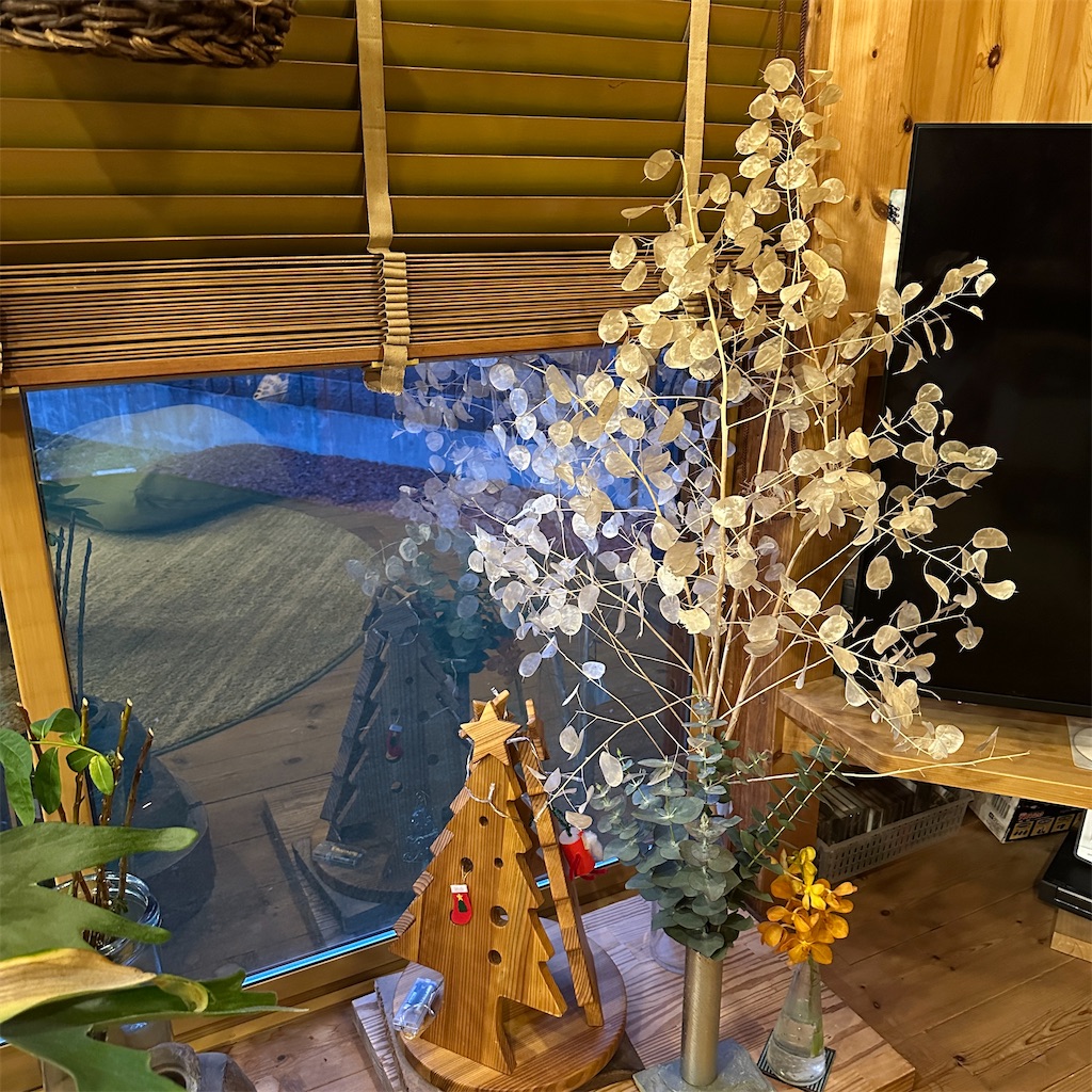 f:id:keikostyle:20241217180347j:image