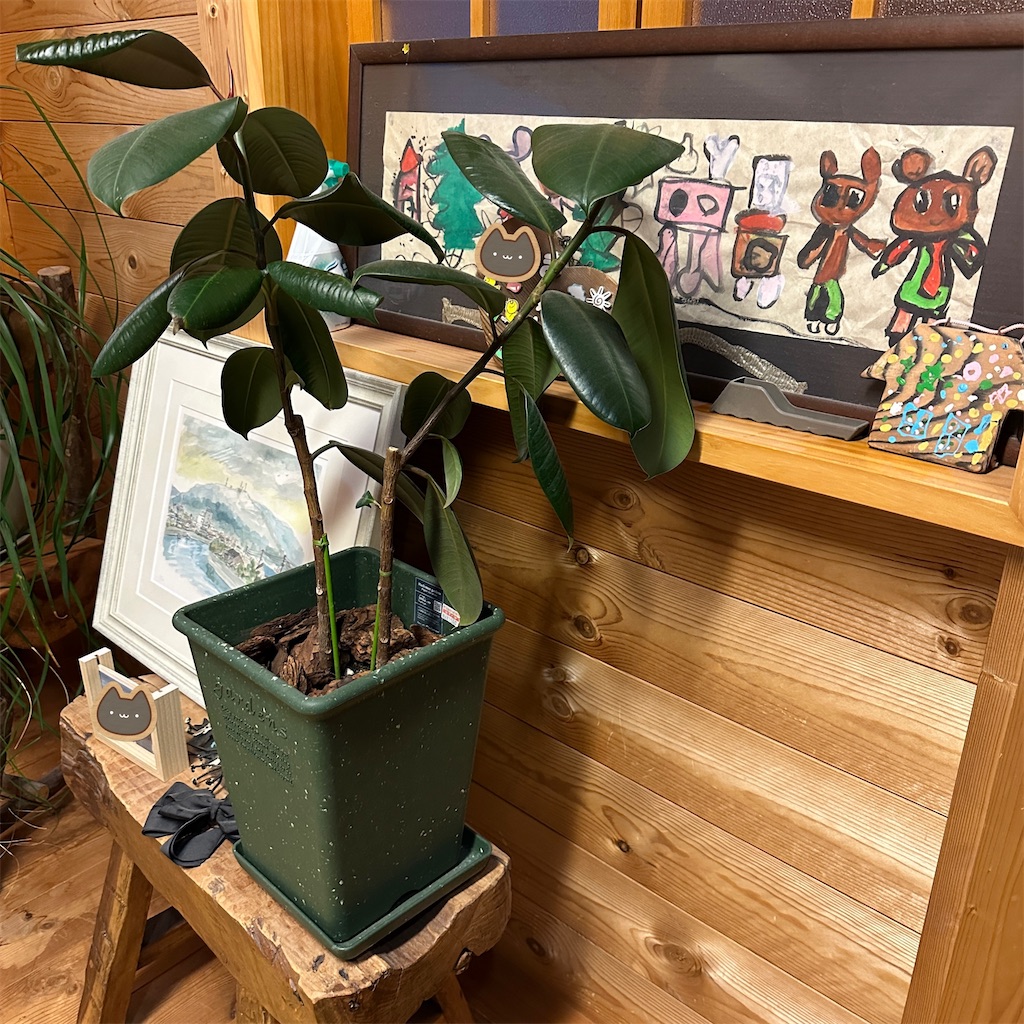 f:id:keikostyle:20241217180358j:image