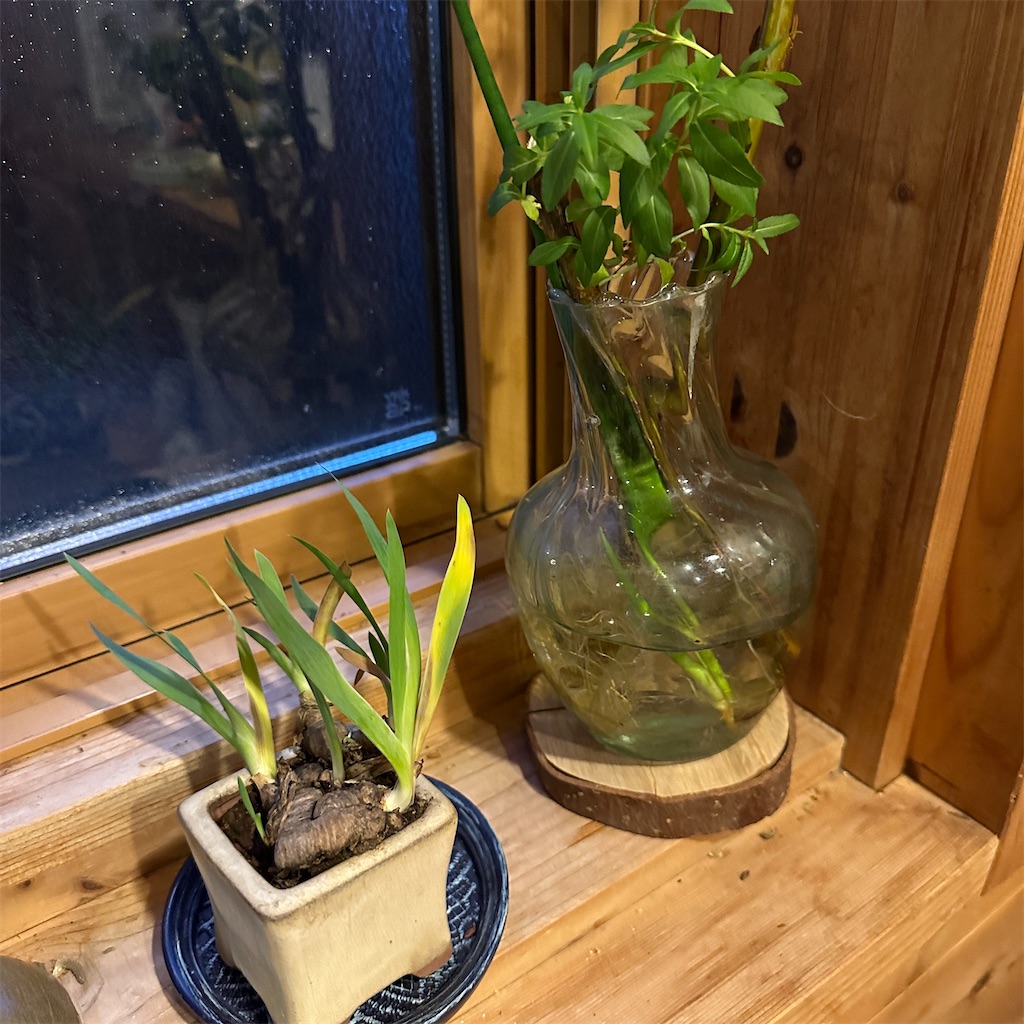 f:id:keikostyle:20241217180410j:image