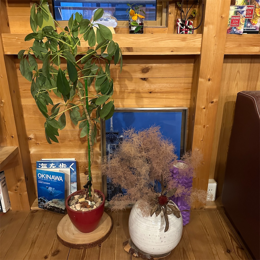 f:id:keikostyle:20241217180413j:image