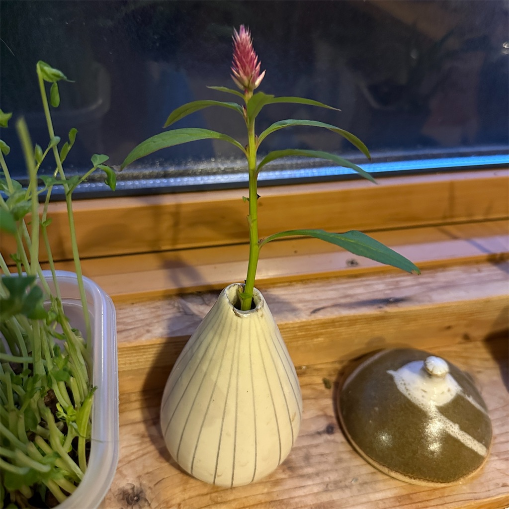 f:id:keikostyle:20241217180425j:image