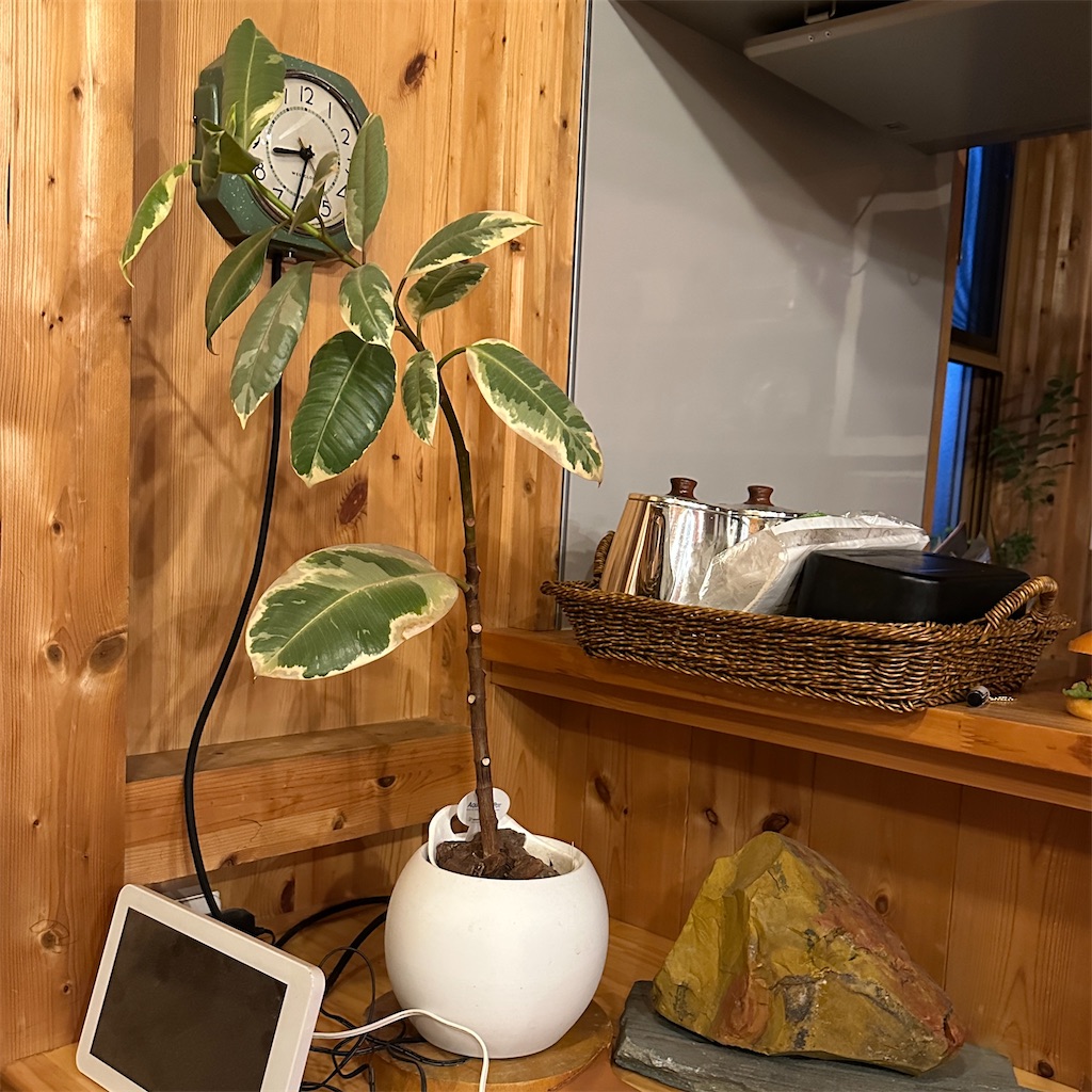 f:id:keikostyle:20241217180429j:image