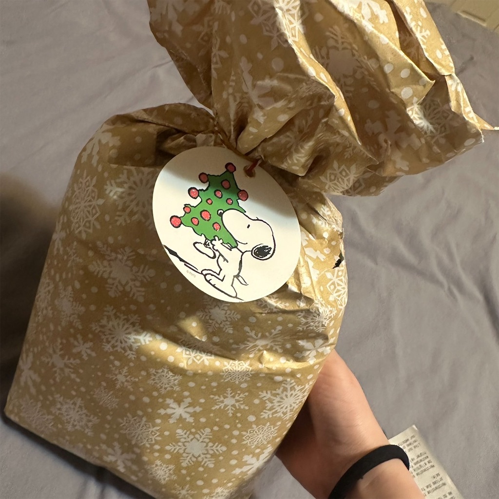 f:id:keikostyle:20241225133943j:image