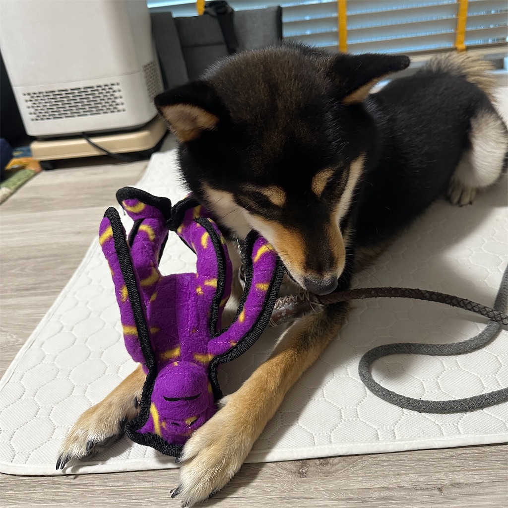 f:id:keikostyle:20250110074313j:image