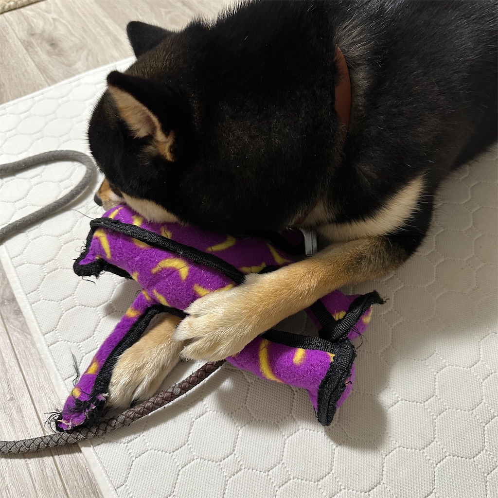 f:id:keikostyle:20250111163219j:image
