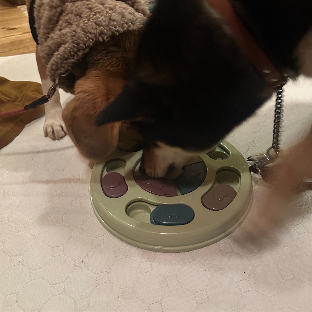f:id:keikostyle:20250120210646j:image
