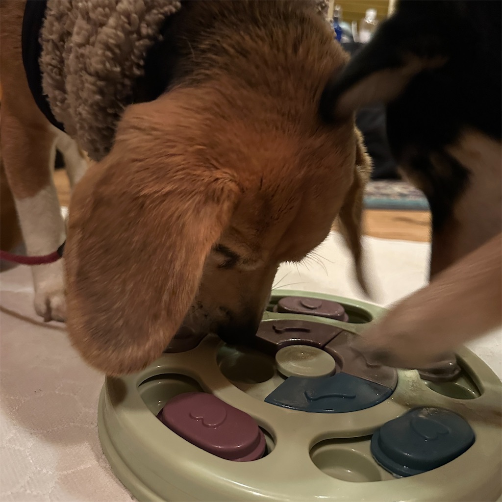 f:id:keikostyle:20250122193801j:image