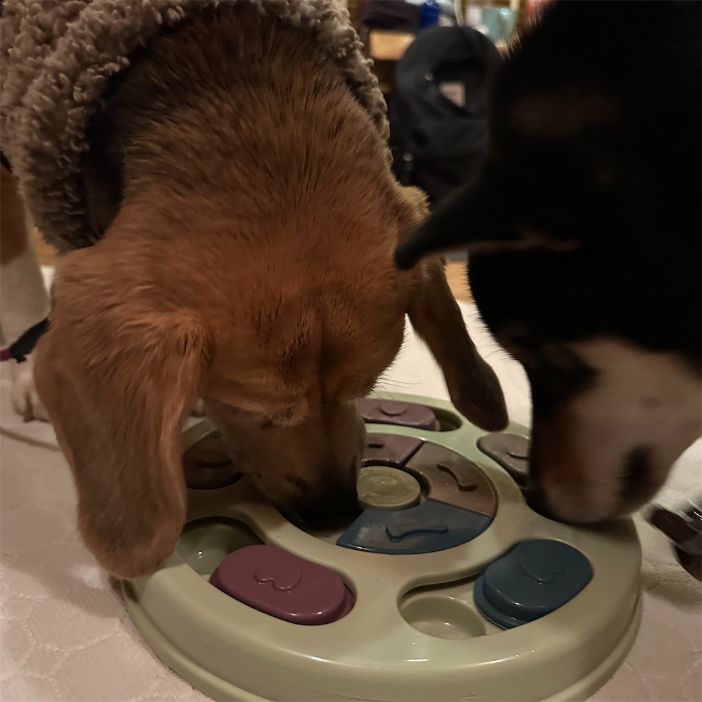 f:id:keikostyle:20250122193820j:image