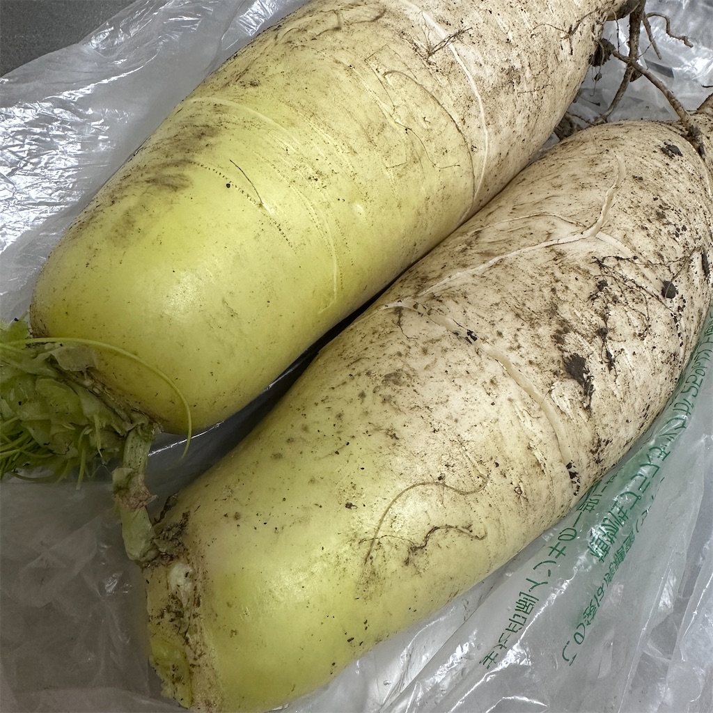 f:id:keikostyle:20250123185803j:image