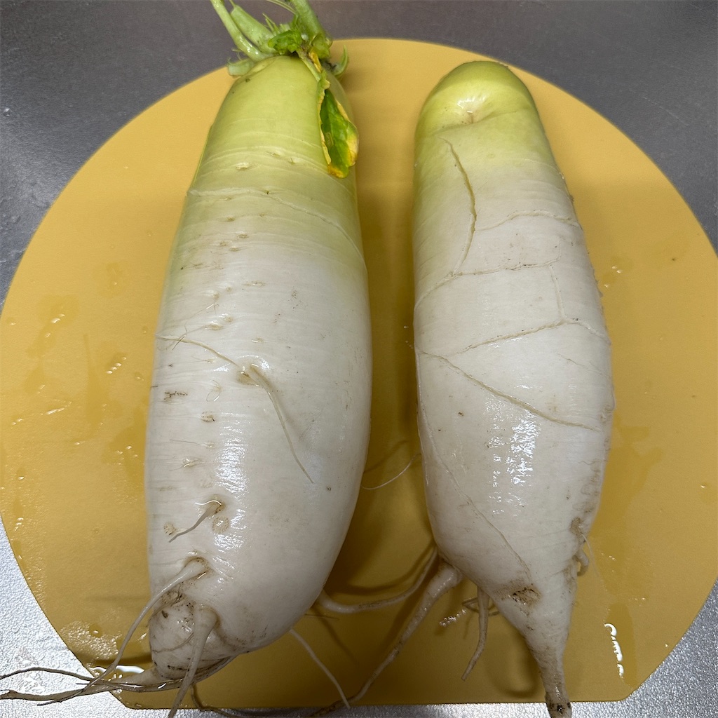 f:id:keikostyle:20250123185810j:image