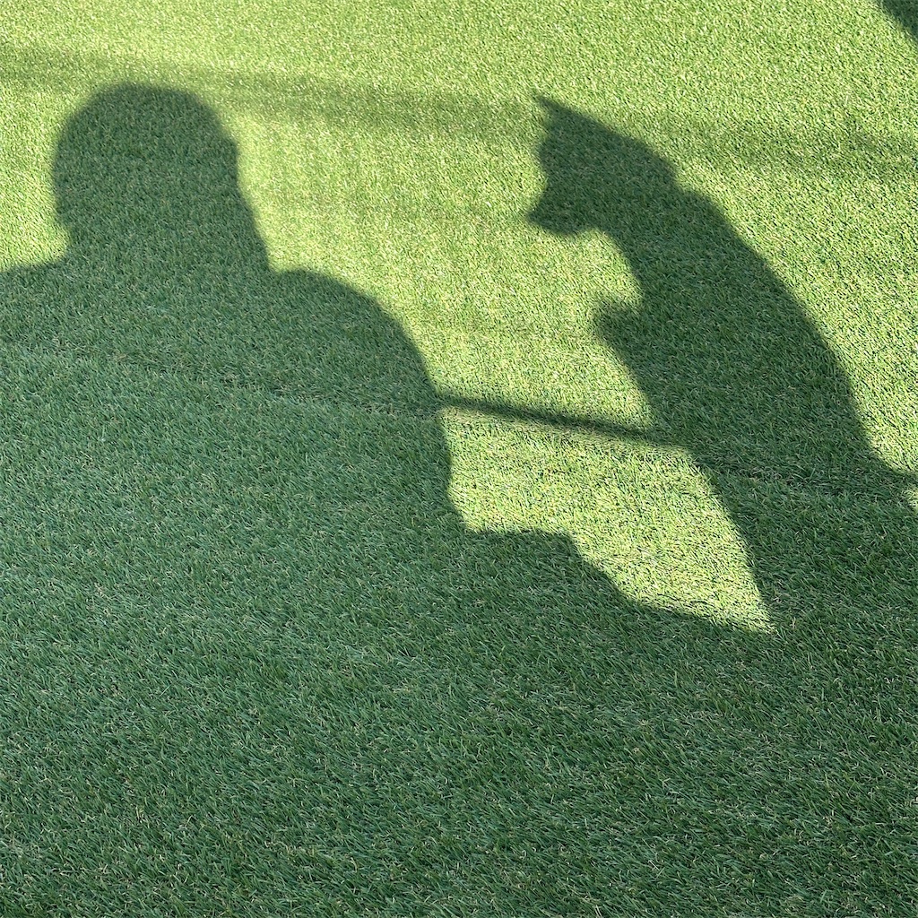 f:id:keikostyle:20250226171343j:image