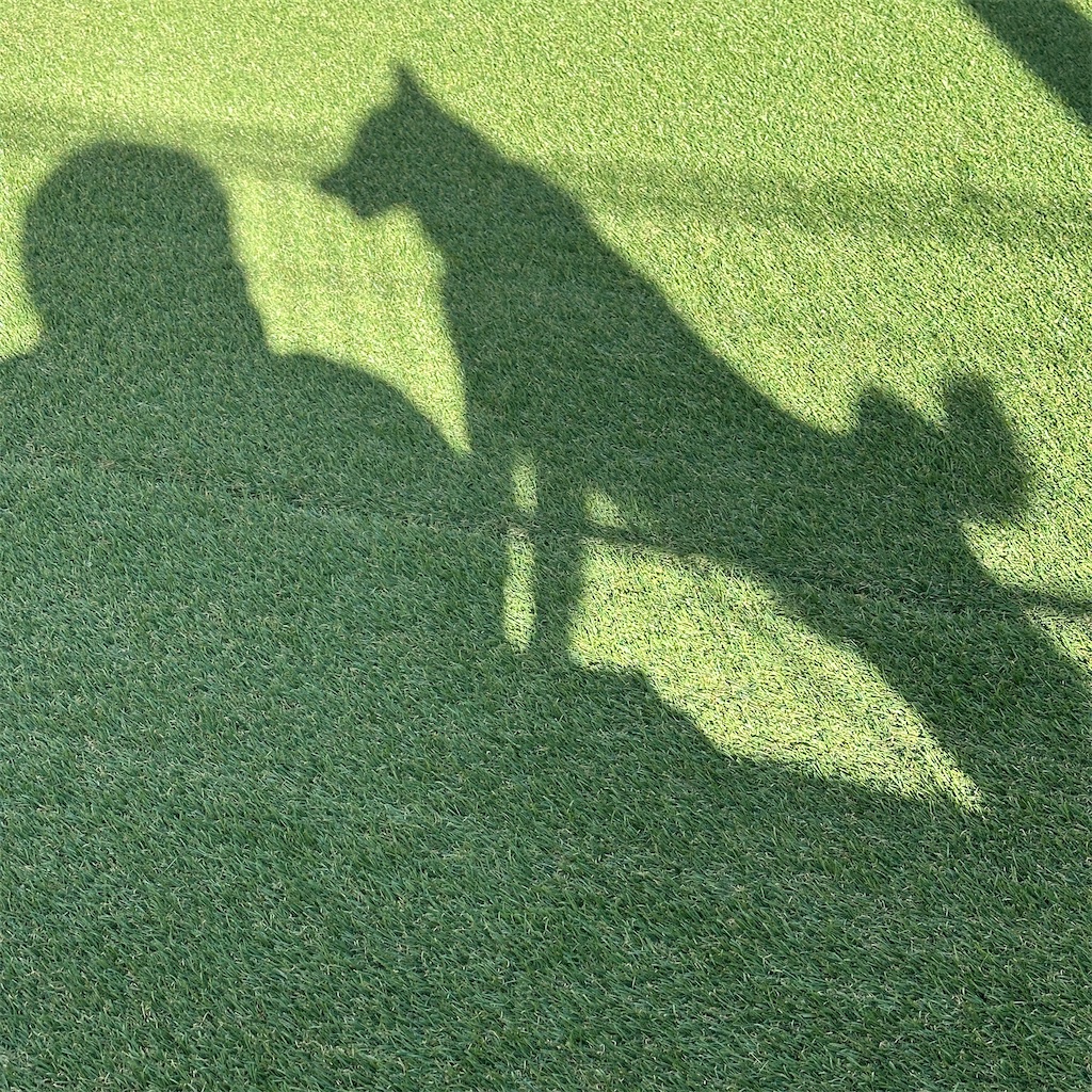 f:id:keikostyle:20250226171346j:image