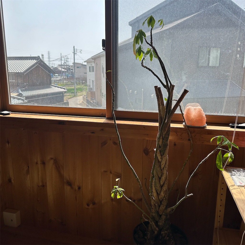 f:id:keikostyle:20250325133227j:image