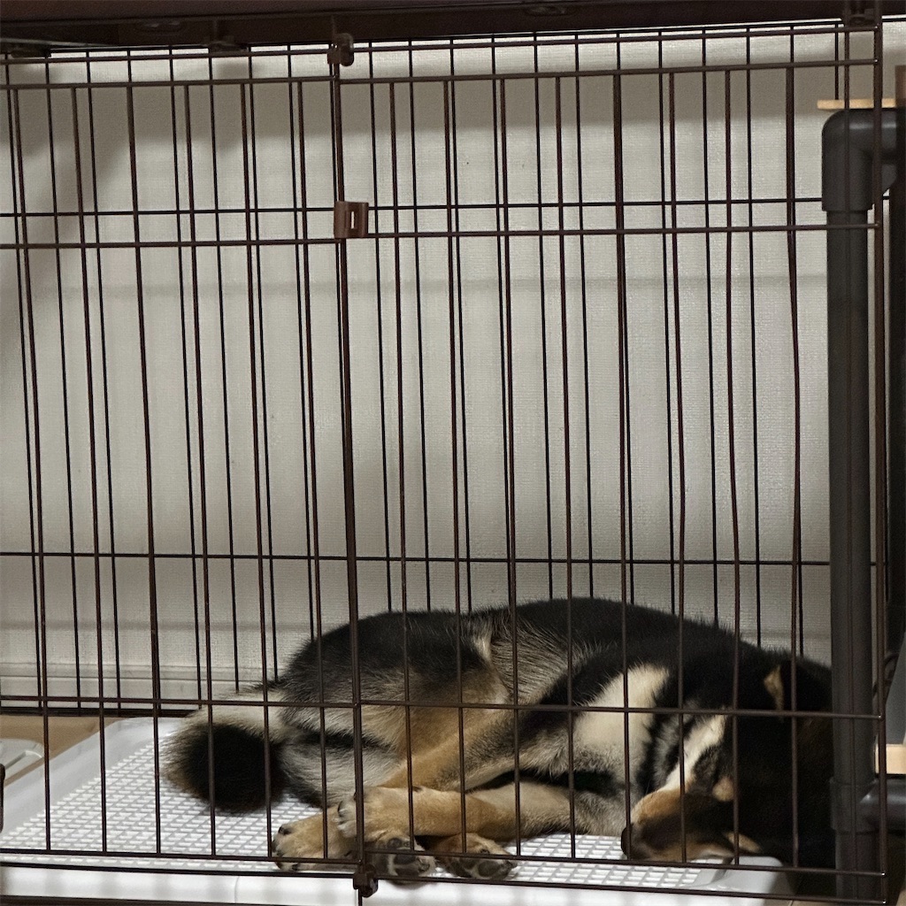 f:id:keikostyle:20250404160626j:image