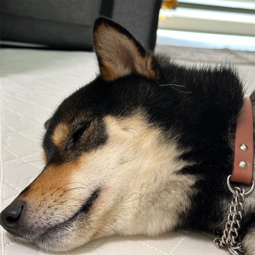 f:id:keikostyle:20250405145807j:image