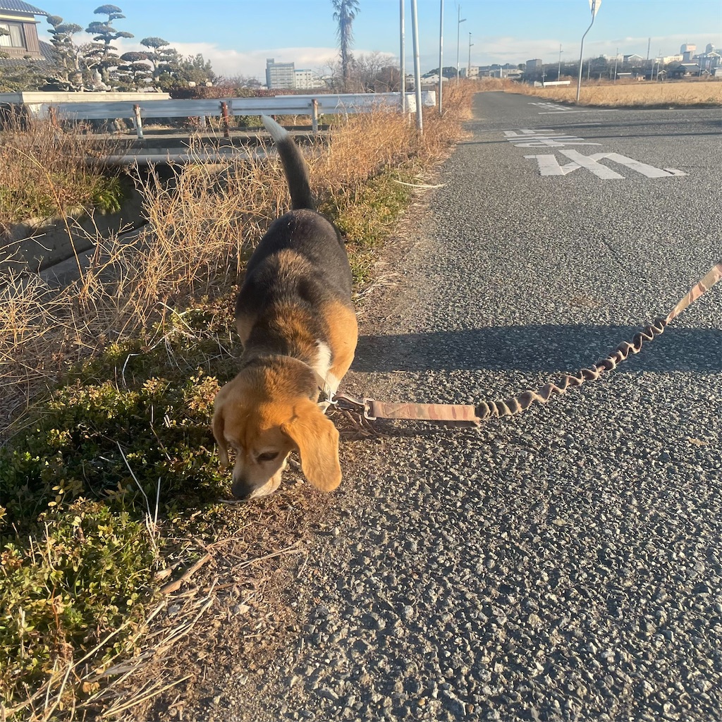 f:id:keikostyle:20250406172838j:image
