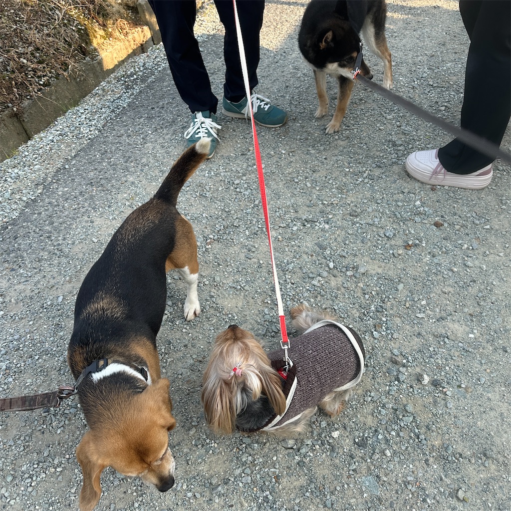 f:id:keikostyle:20250416171727j:image