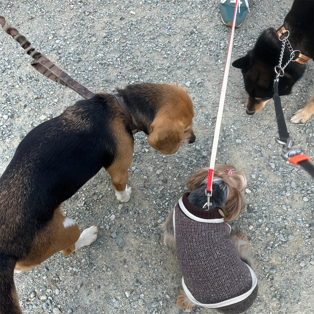 f:id:keikostyle:20250416171734j:image