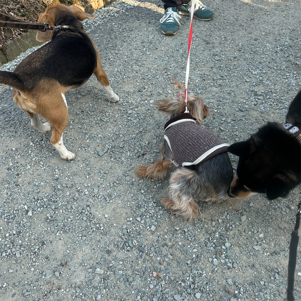 f:id:keikostyle:20250416171750j:image