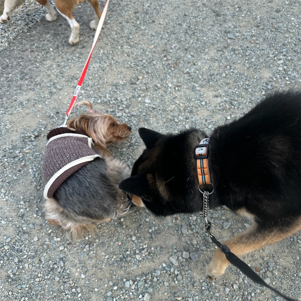 f:id:keikostyle:20250416171805j:image