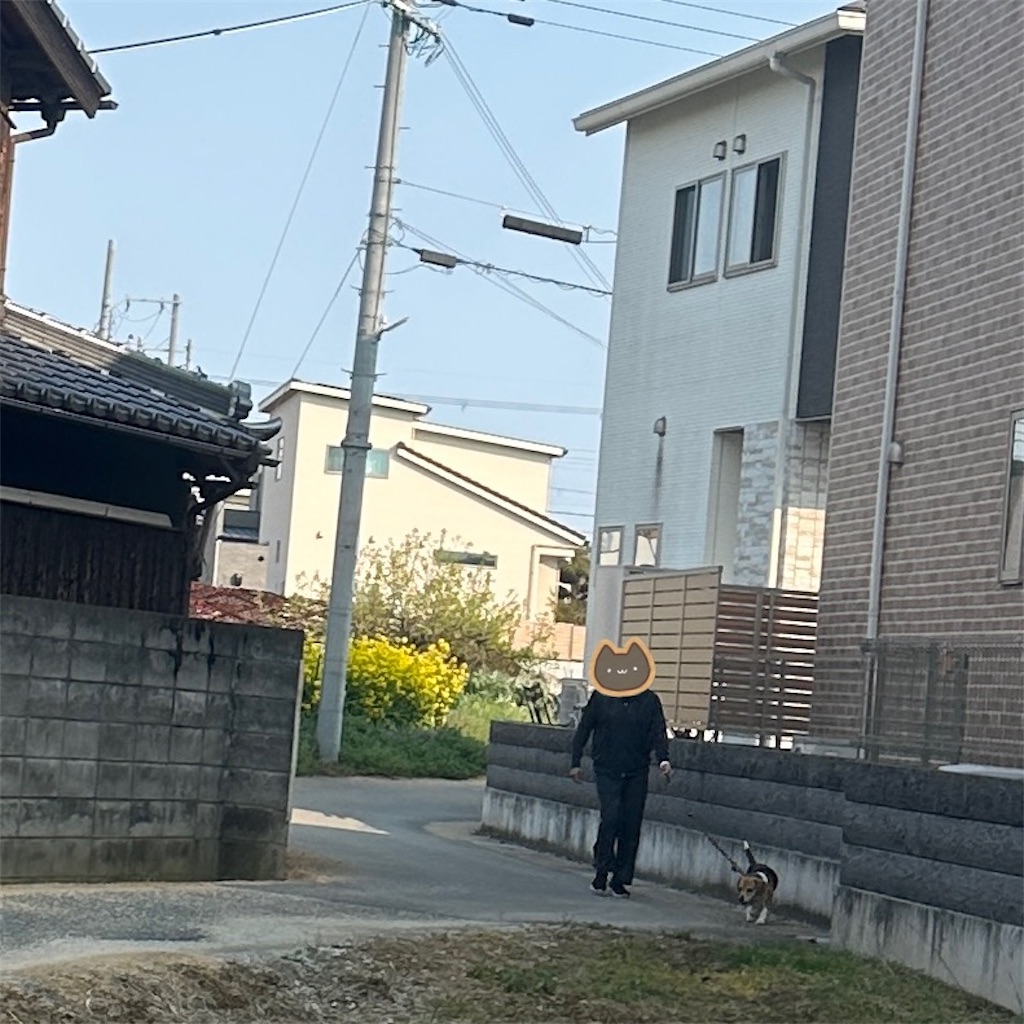 f:id:keikostyle:20250416175716j:image