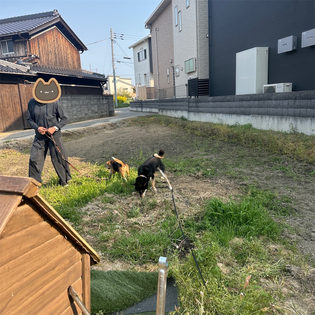 f:id:keikostyle:20250416175719j:image