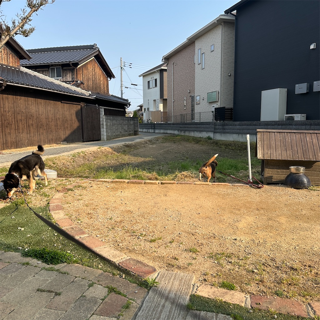 f:id:keikostyle:20250416175730j:image