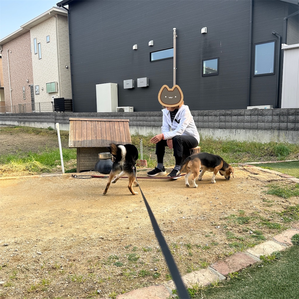 f:id:keikostyle:20250416175734j:image