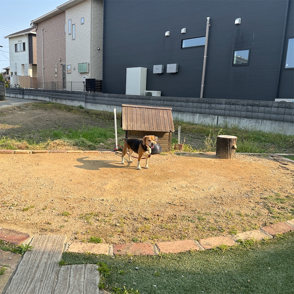 f:id:keikostyle:20250416175738j:image