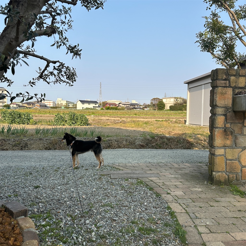 f:id:keikostyle:20250416175741j:image