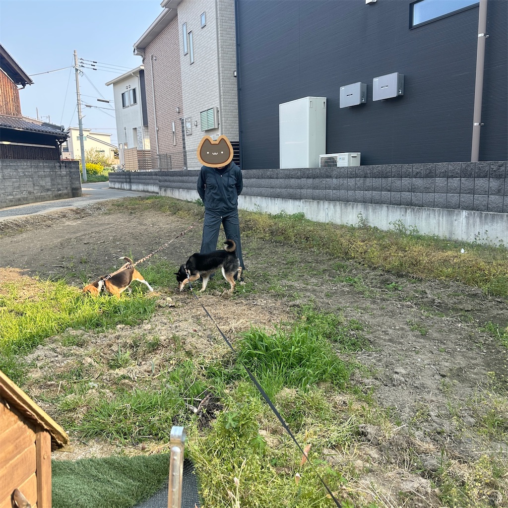 f:id:keikostyle:20250416175744j:image