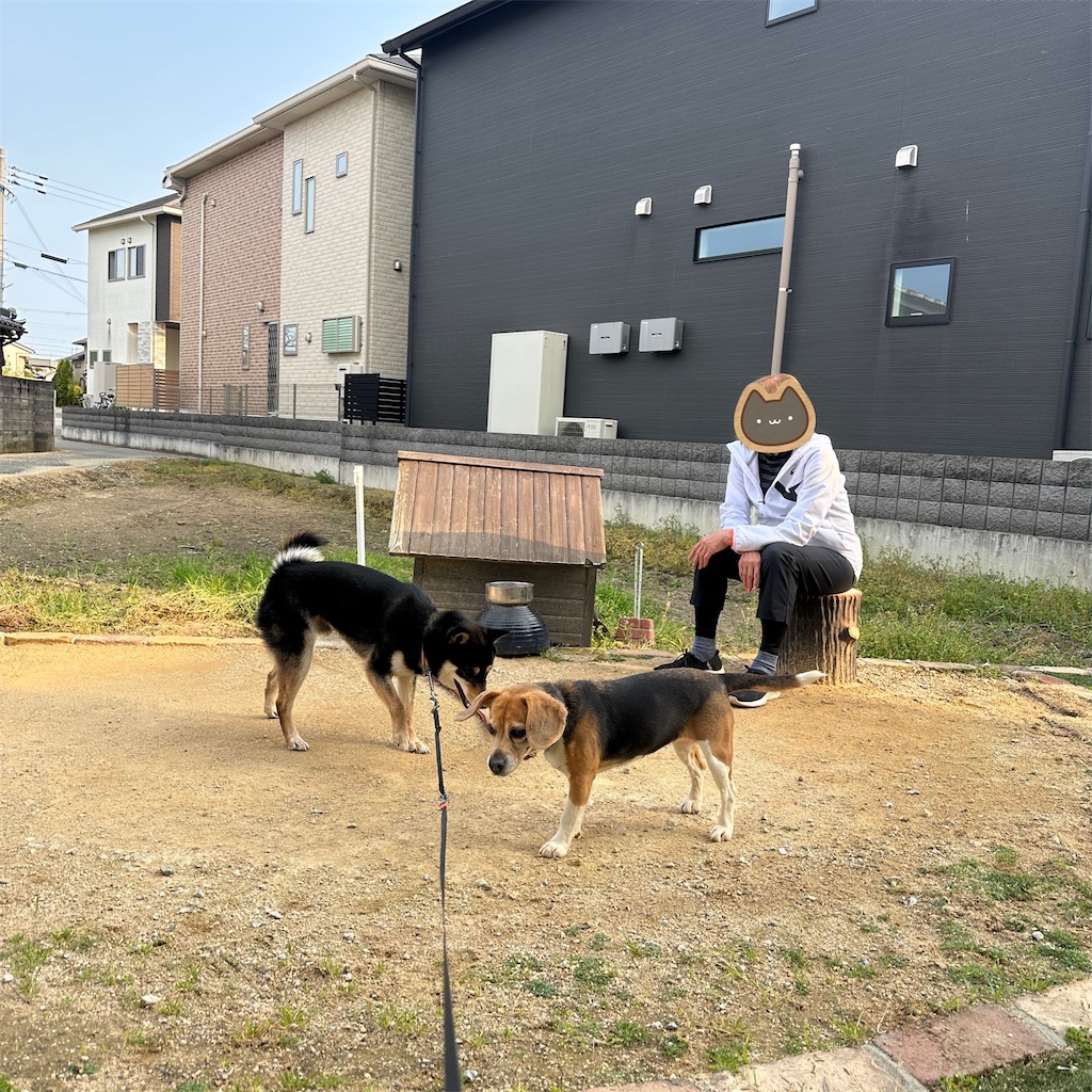 f:id:keikostyle:20250416175750j:image