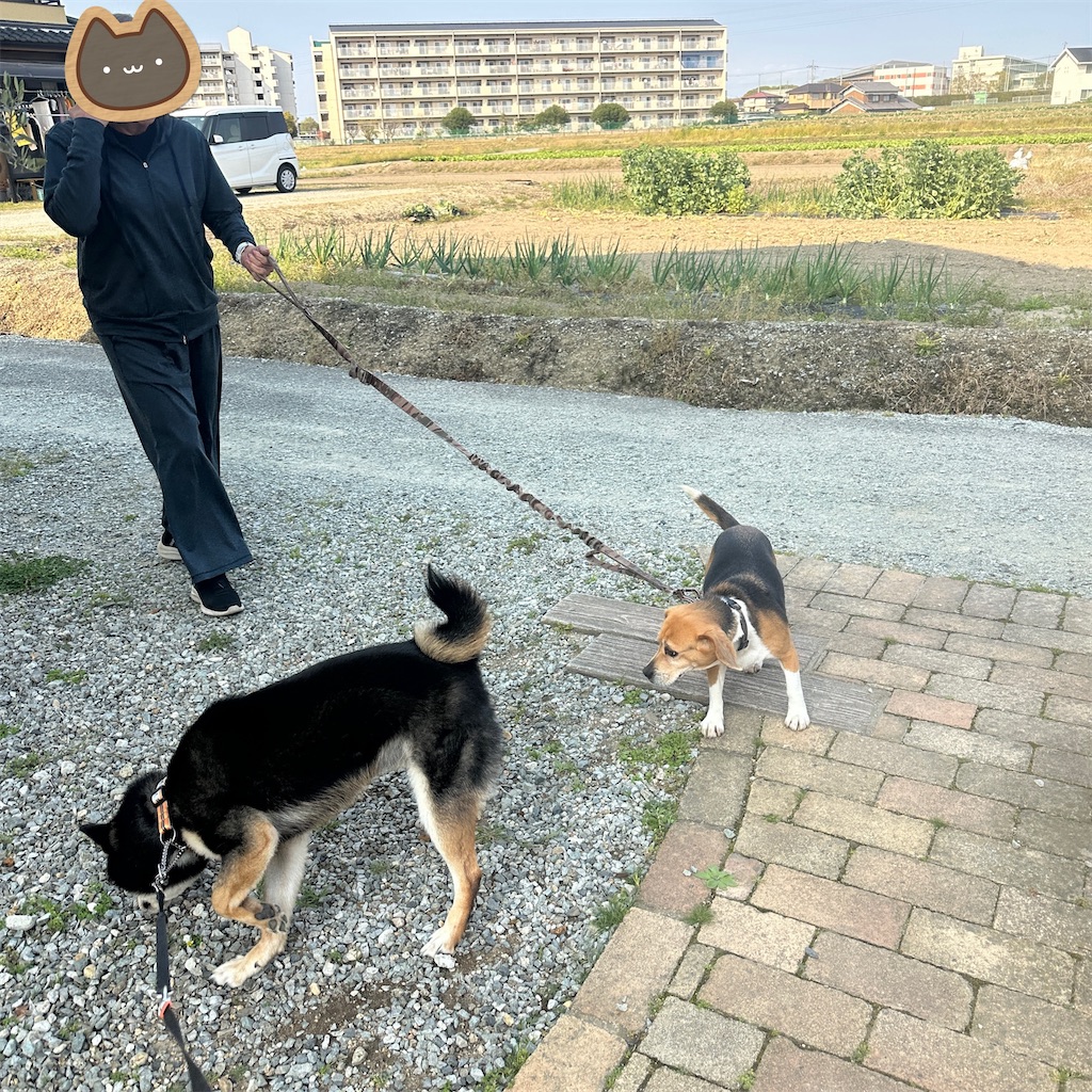 f:id:keikostyle:20250416175753j:image