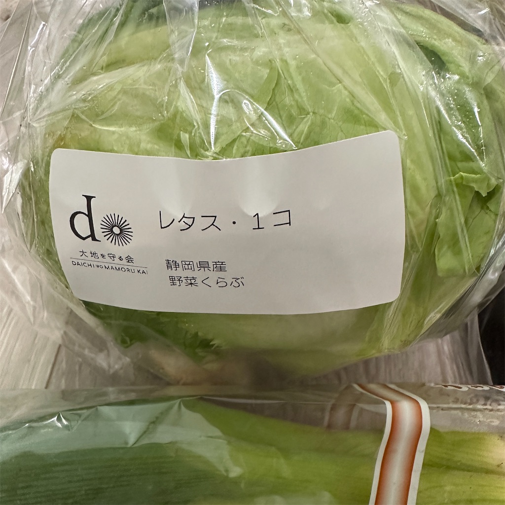 f:id:keikostyle:20250504111201j:image