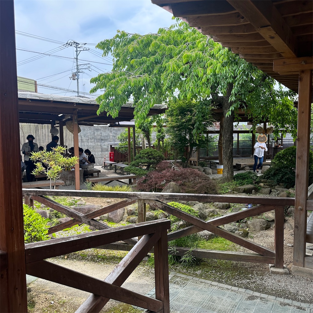 f:id:keikostyle:20250515141524j:image