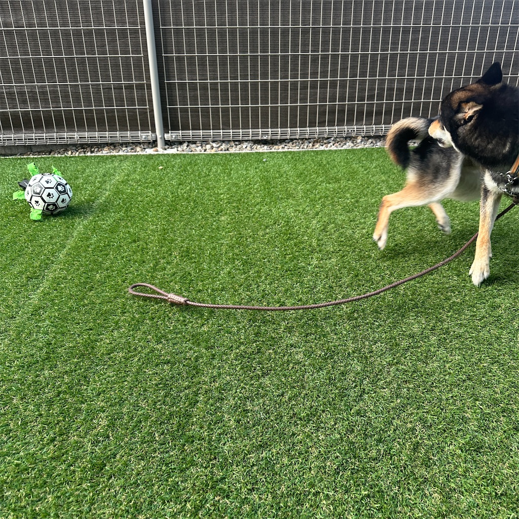 f:id:keikostyle:20250604160703j:image