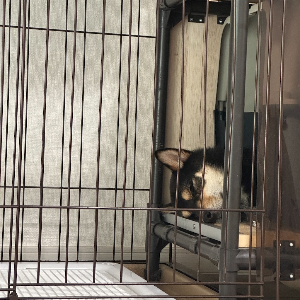 f:id:keikostyle:20250604175811j:image