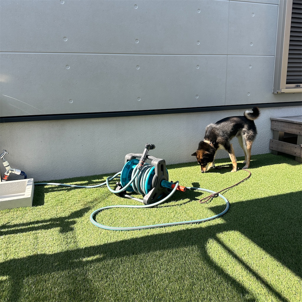 f:id:keikostyle:20250605160332j:image