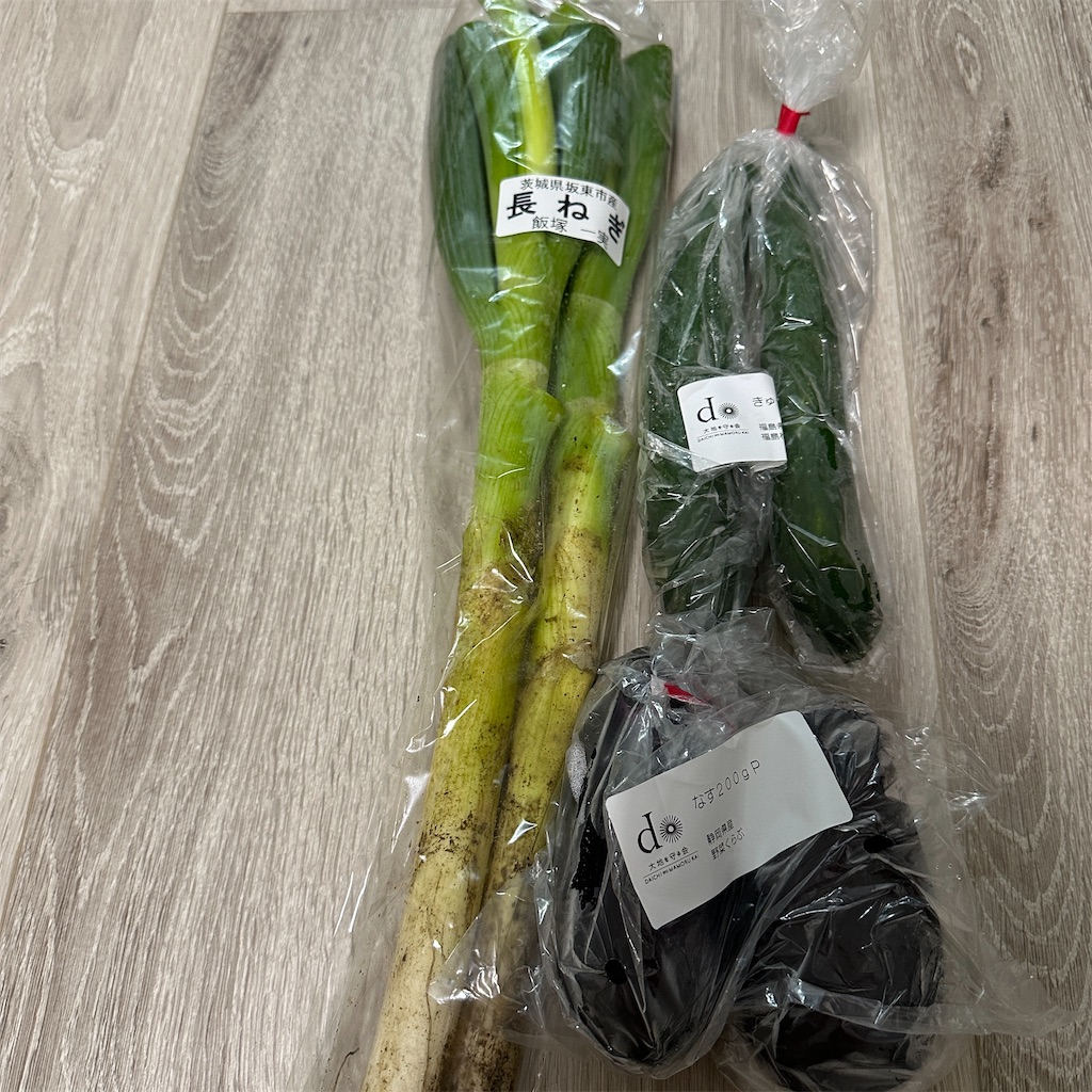 f:id:keikostyle:20250608174300j:image