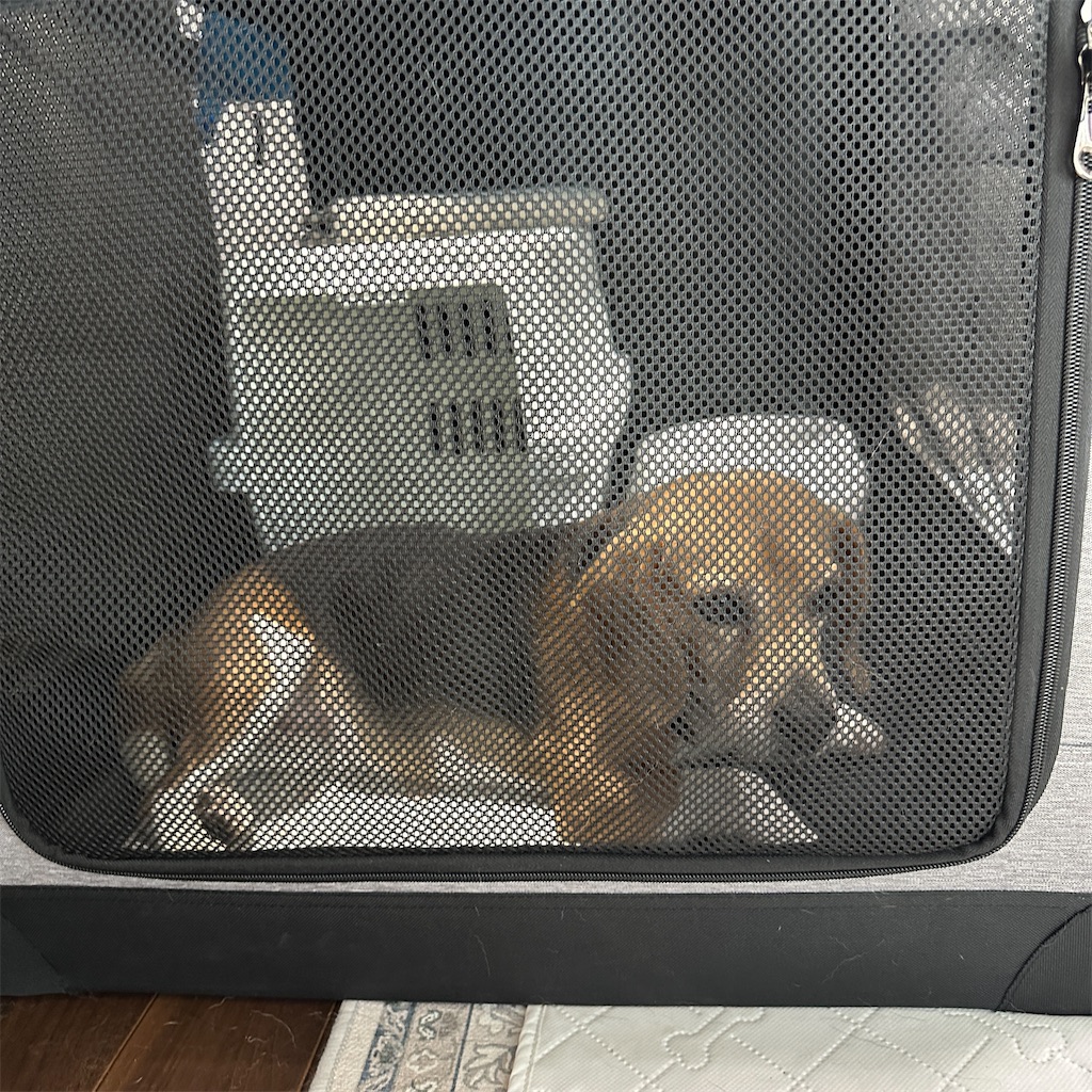 f:id:keikostyle:20250627170329j:image