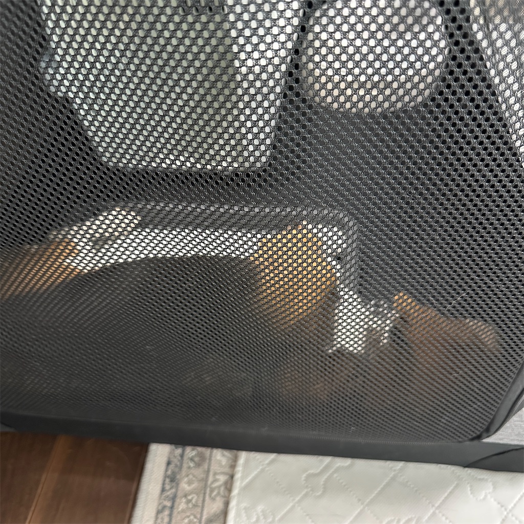 f:id:keikostyle:20250627170338j:image