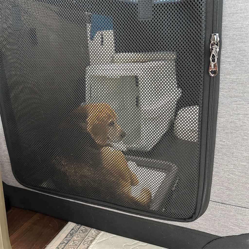 f:id:keikostyle:20250627170342j:image