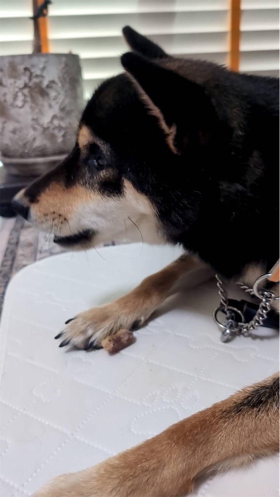 f:id:keikostyle:20250727125241j:image