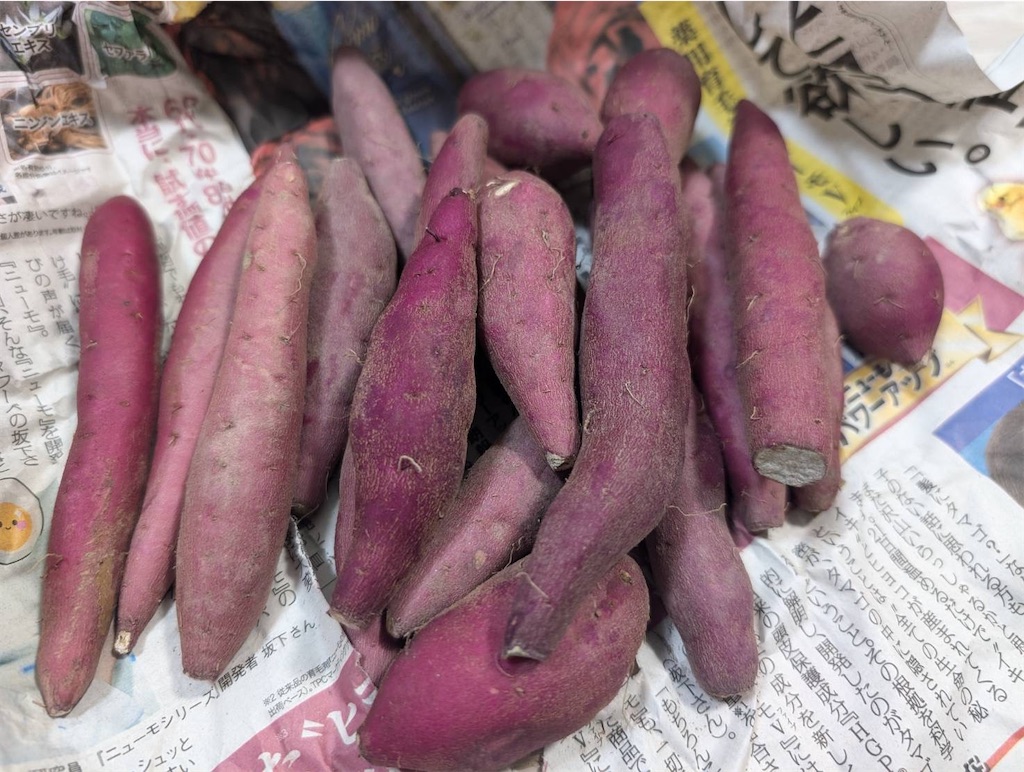 f:id:keikostyle:20250803180809j:image
