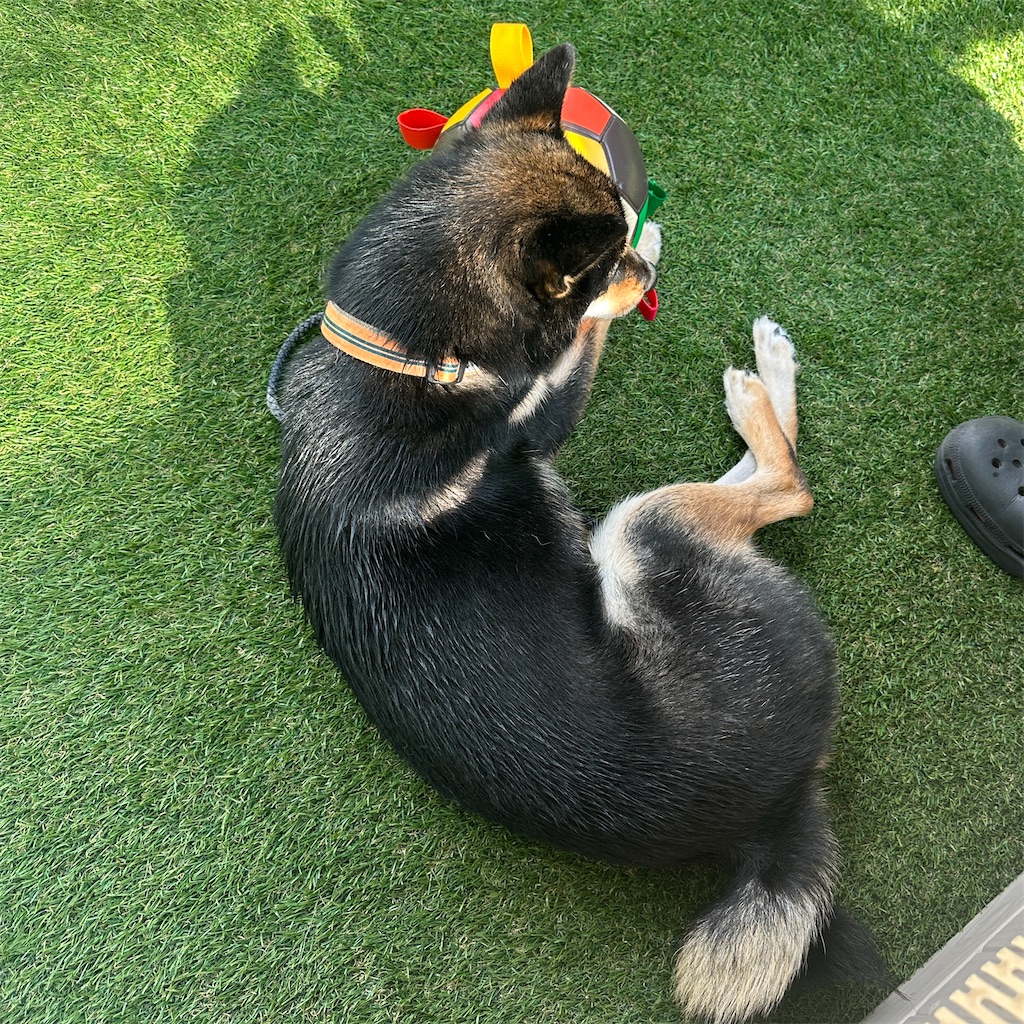 f:id:keikostyle:20250807201142j:image