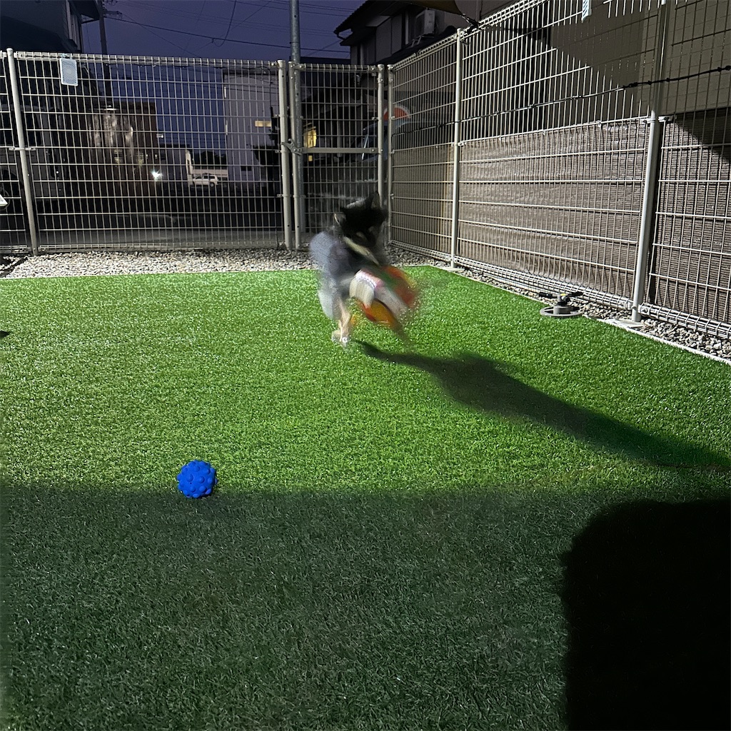 f:id:keikostyle:20250814192832j:image