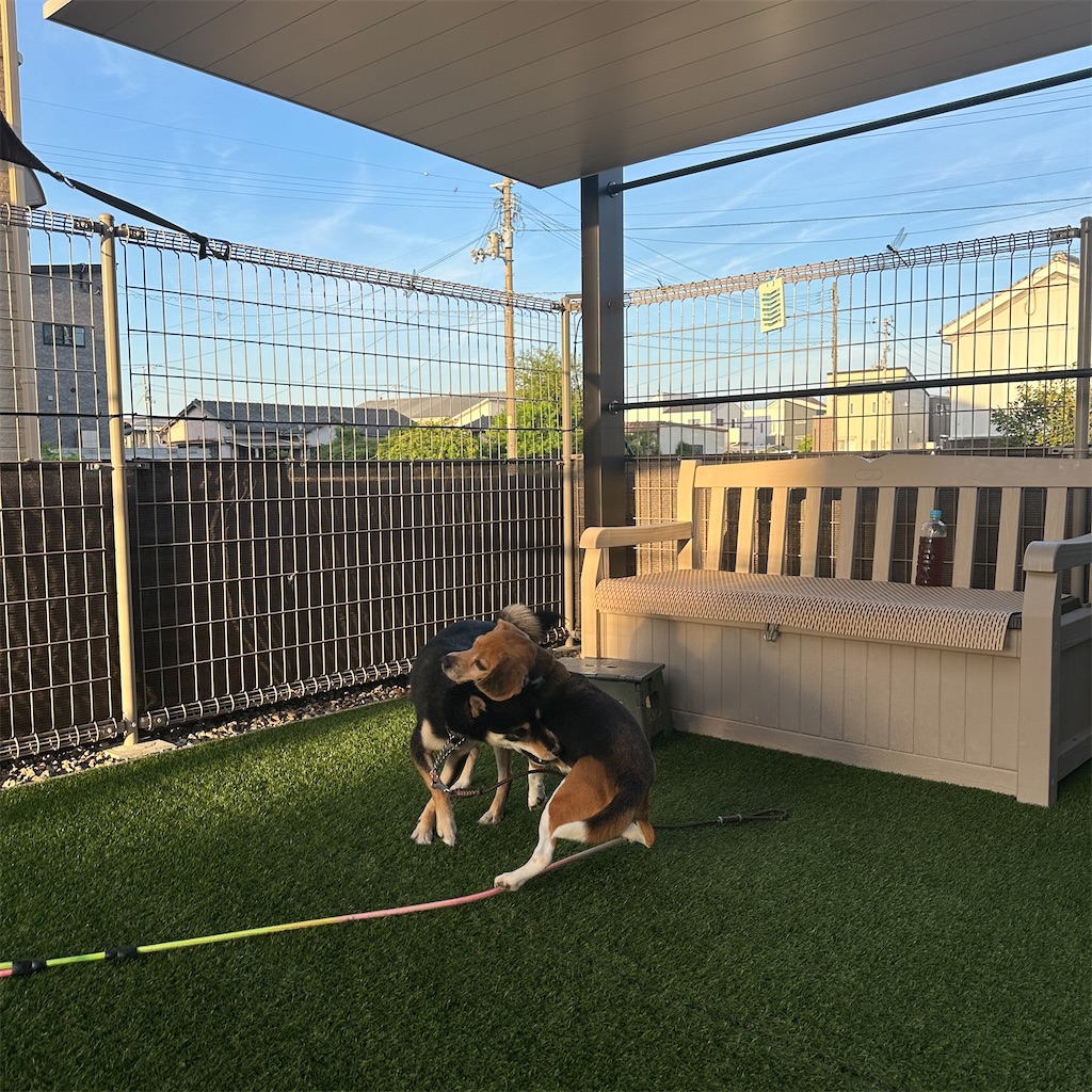 f:id:keikostyle:20250822161820j:image