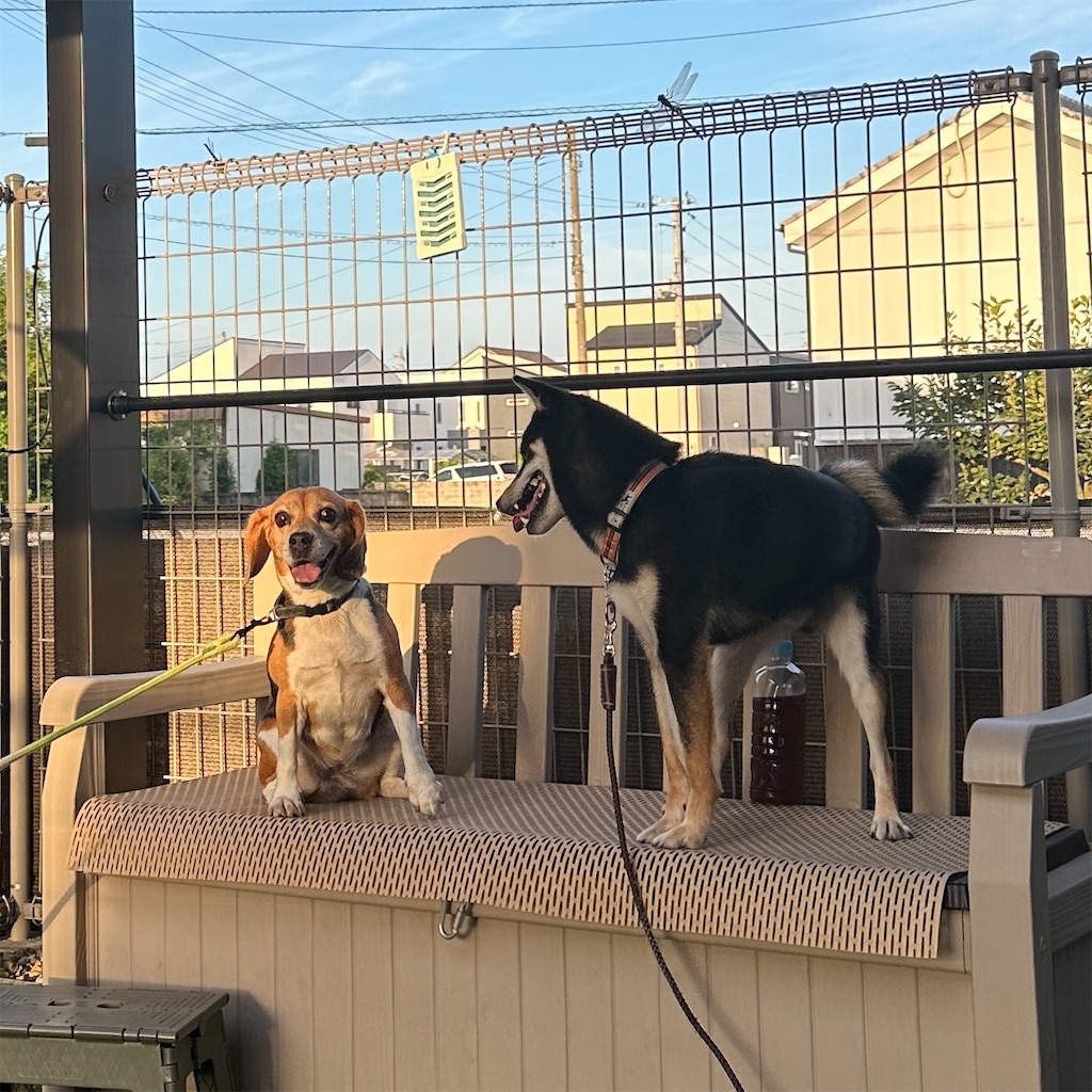 f:id:keikostyle:20250822161828j:image