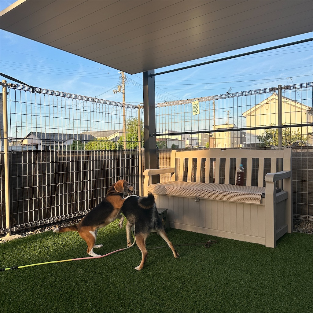 f:id:keikostyle:20250822161832j:image