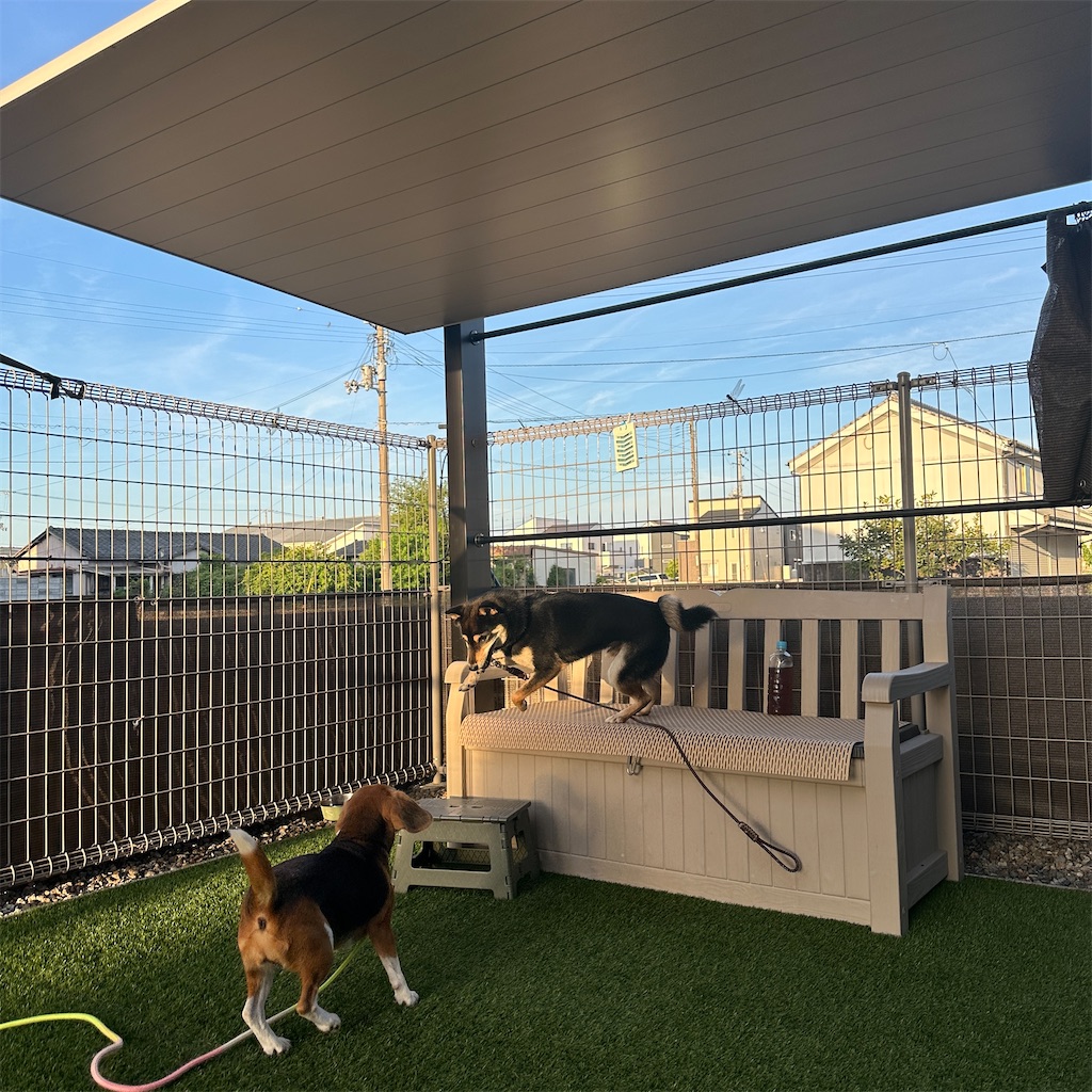 f:id:keikostyle:20250822161836j:image